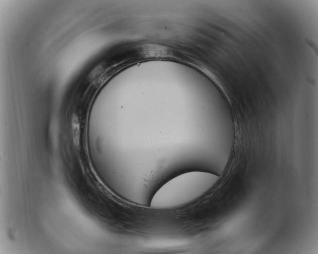 X0000103951151200809191205