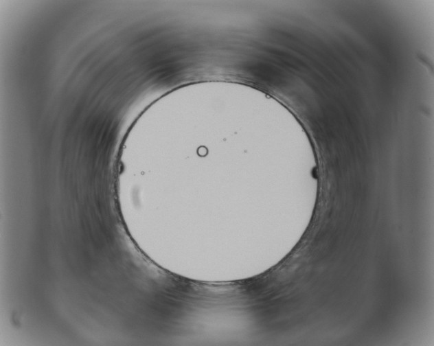 X0000103951152200809191205