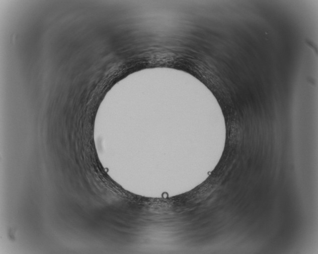 X0000103951153200809191204