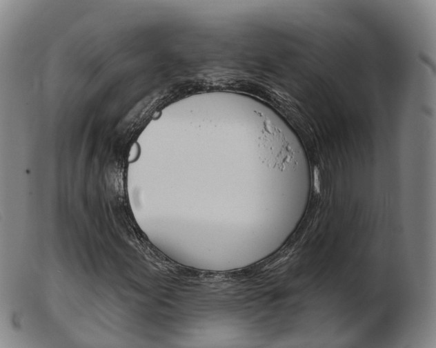 X0000103951155200809191204