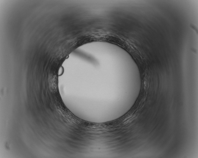 X0000103951156200809191204
