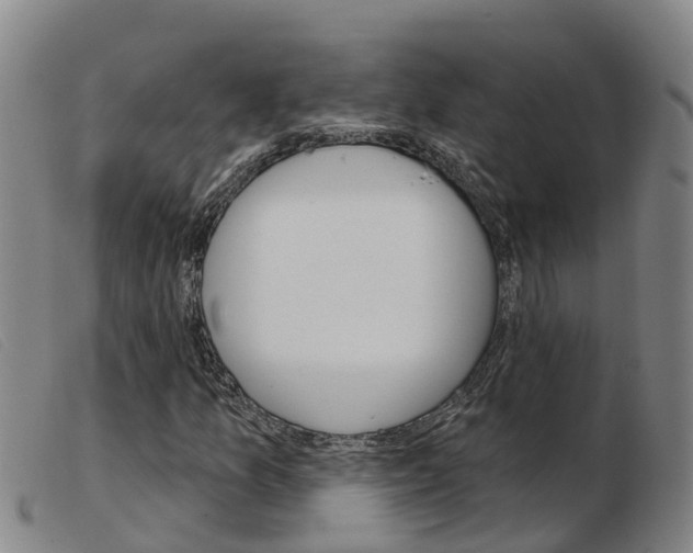 X0000103951157200809191204