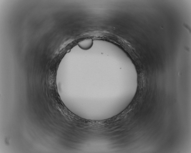 X0000103951158200809191204