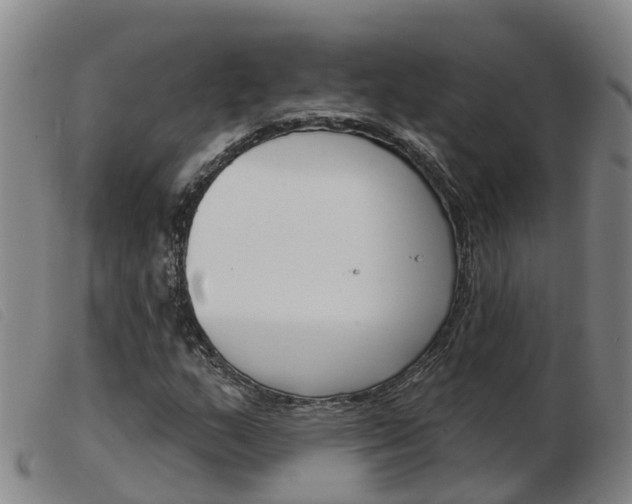 X0000103951159200809191204