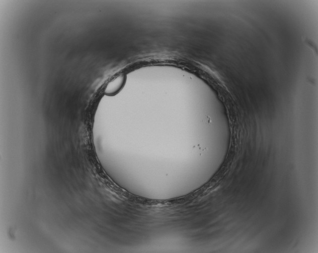 X0000103951160200809191204