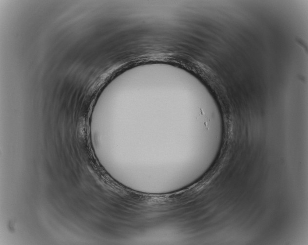 X0000103951161200809191204