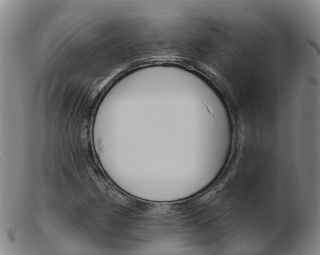 X0000103951162200809191204