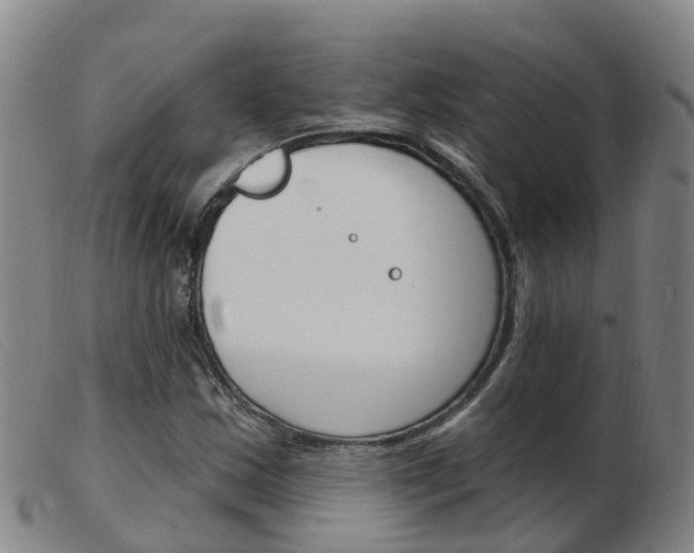 X0000103951163200809191204