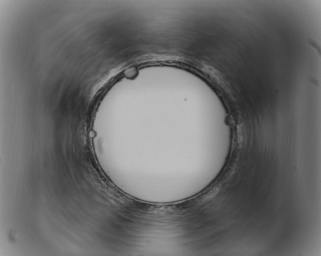 X0000103951165200809191204