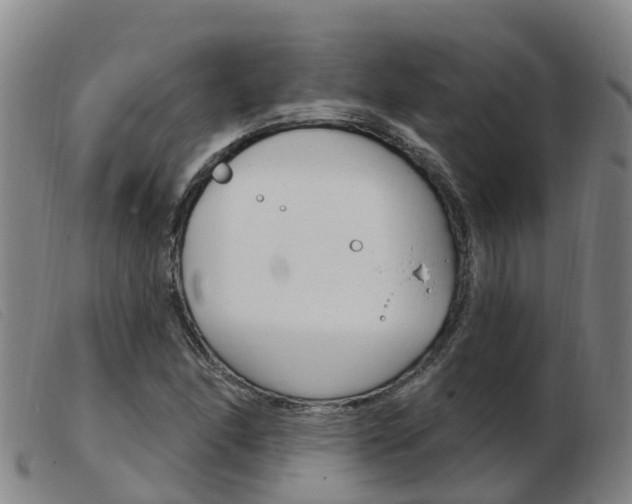 X0000103951166200809191204