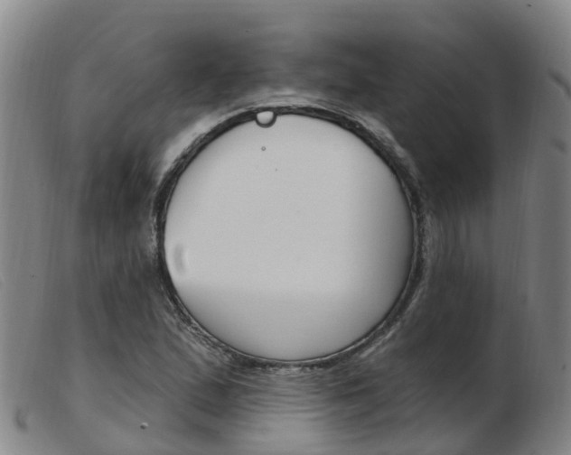 X0000103951167200809191204