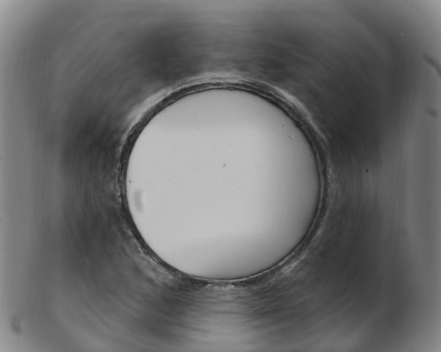 X0000103951168200809191204
