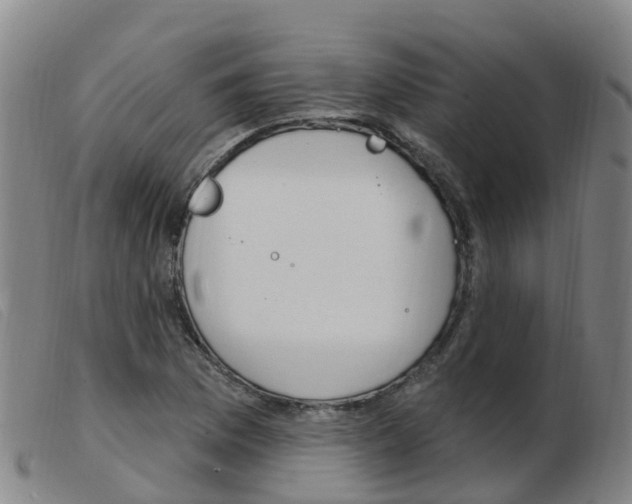 X0000103951169200809191204