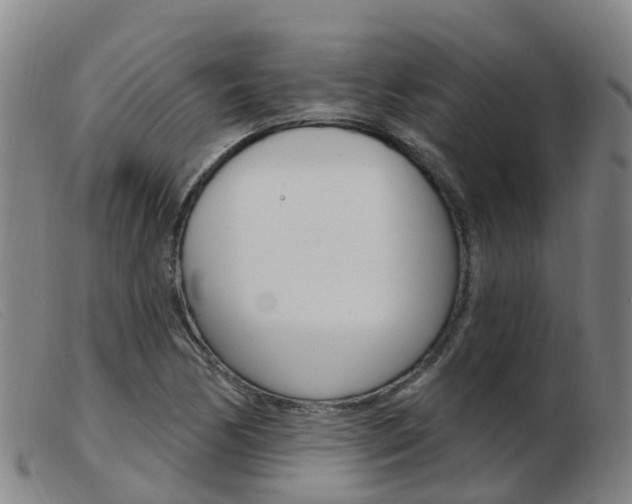 X0000103951170200809191204