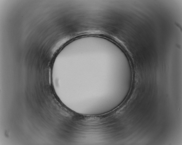 X0000103951171200809191204