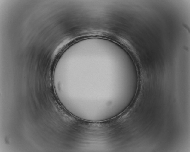 X0000103951172200809191204
