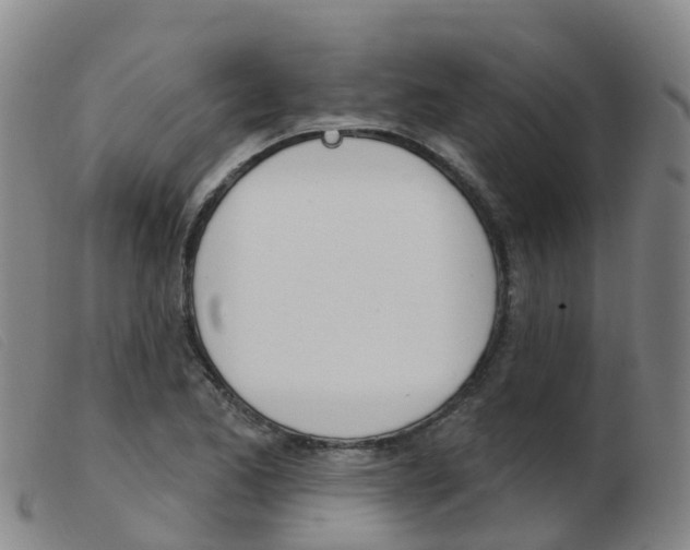 X0000103951173200809191204