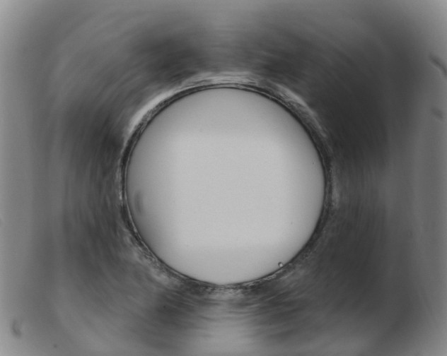 X0000103951174200809191204