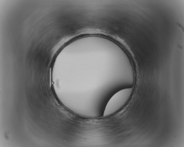 X0000103951175200809191204
