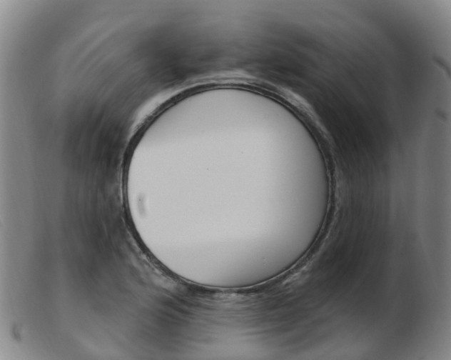 X0000103951176200809191204