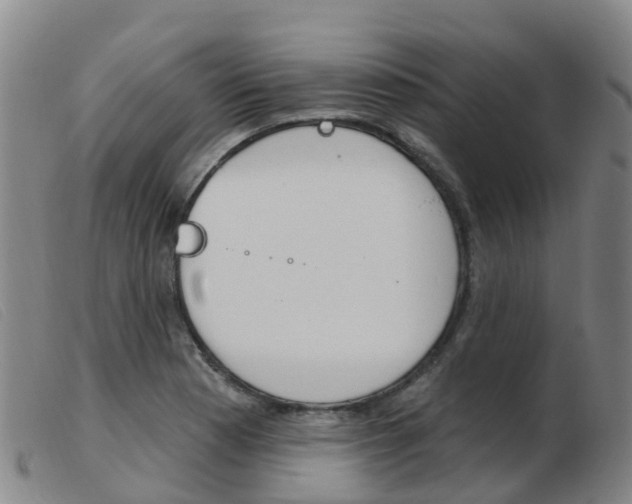 X0000103951177200809191204