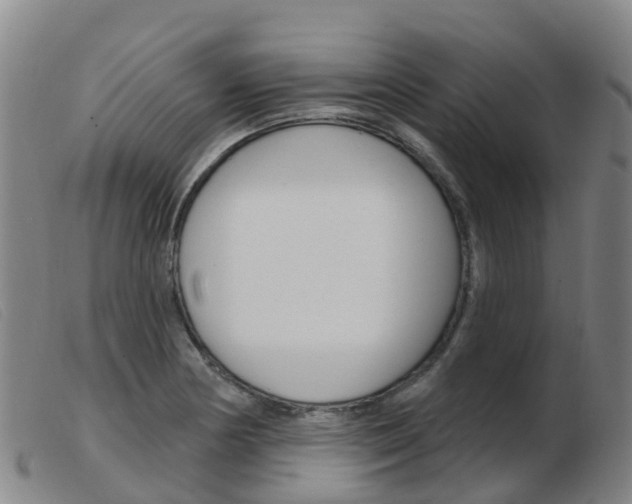 X0000103951178200809191204