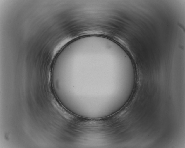 X0000103951179200809191204