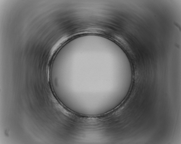 X0000103951180200809191204