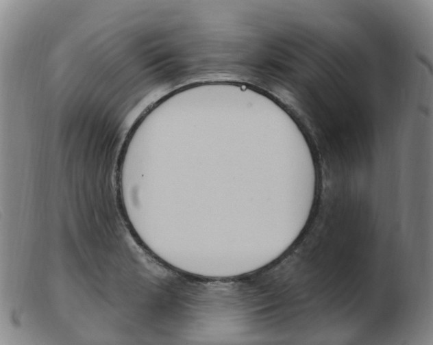 X0000103951181200809191204