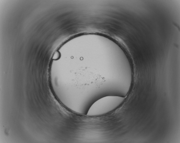 X0000103951183200809191204