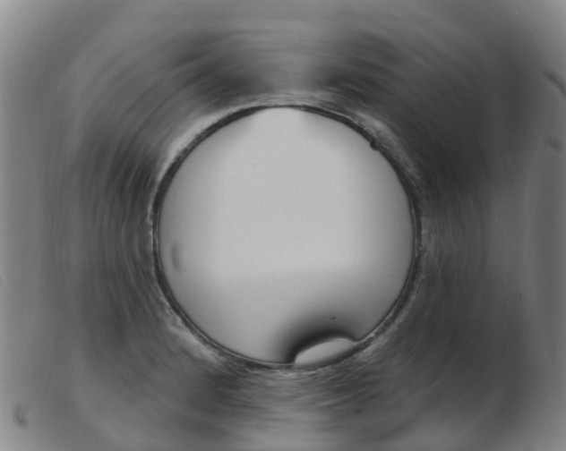 X0000103951184200809191204