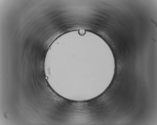 X0000103951185200809191204