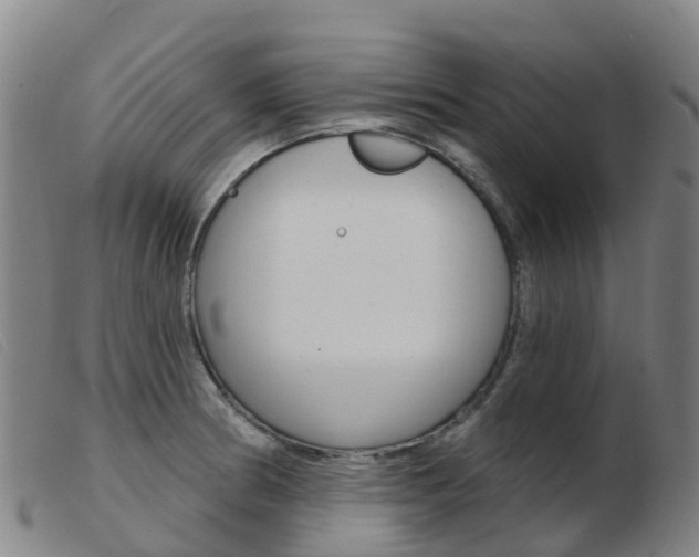 X0000103951186200809191204