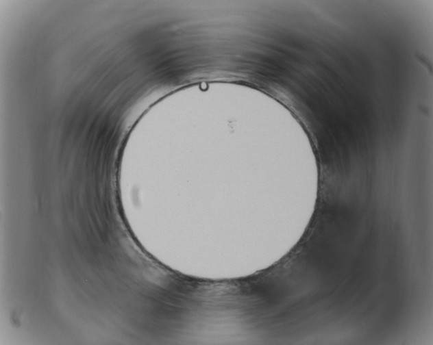 X0000103951187200809191204