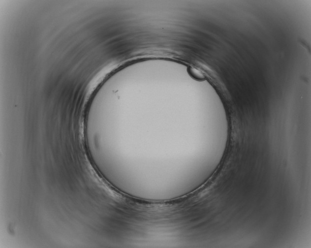X0000103951188200809191204