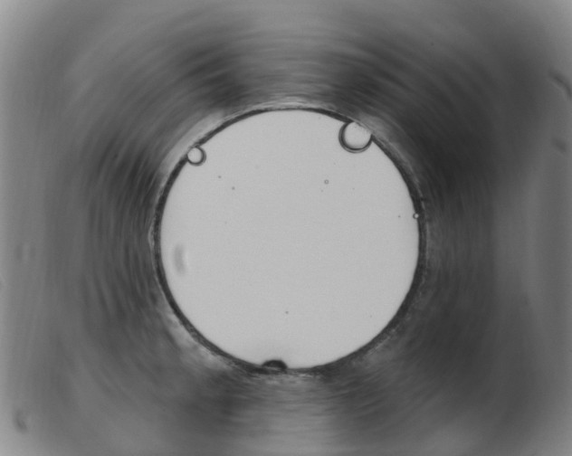 X0000103951189200809191204