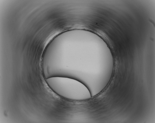 X0000103951190200809191204