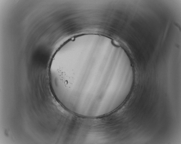 X0000103951192200809191204
