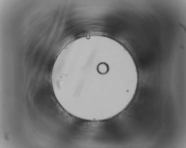 X0000103951193200809191204