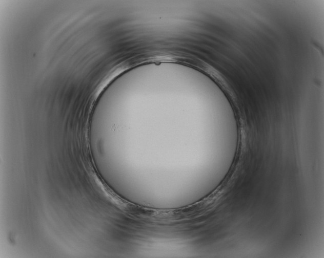 X0000103951194200809191204