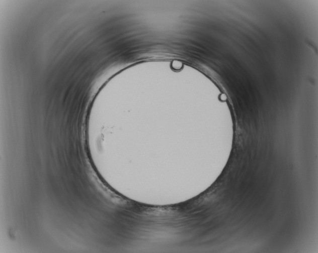 X0000103951195200809191204