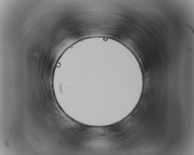 X0000103951197200809191204