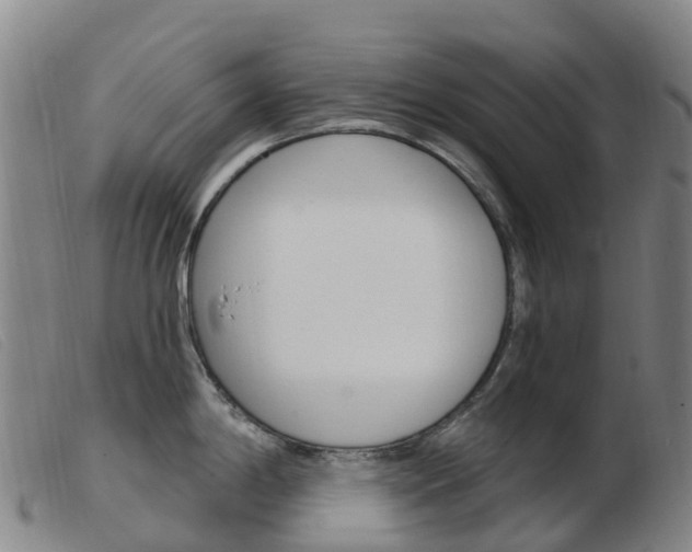 X0000103951198200809191204
