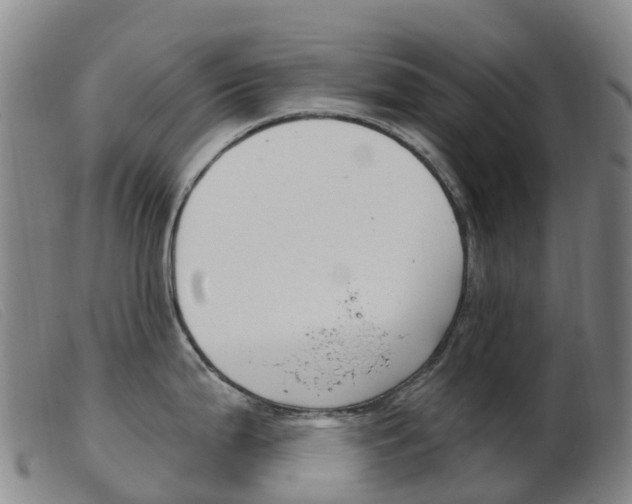 X0000103951199200809191204