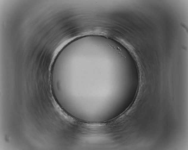 X0000103951200200809191204