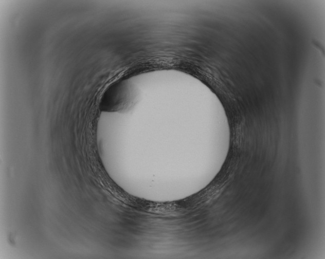 X0000103951201200809191203