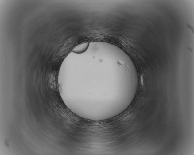 X0000103951203200809191203