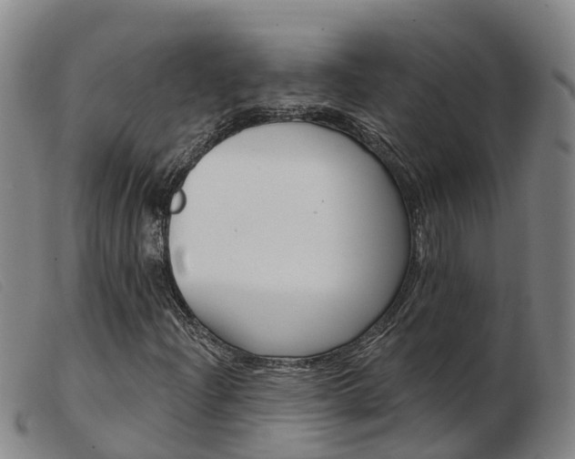 X0000103951204200809191203