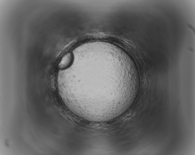 X0000103951205200809191203