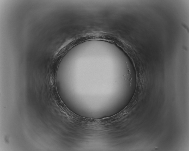 X0000103951206200809191203